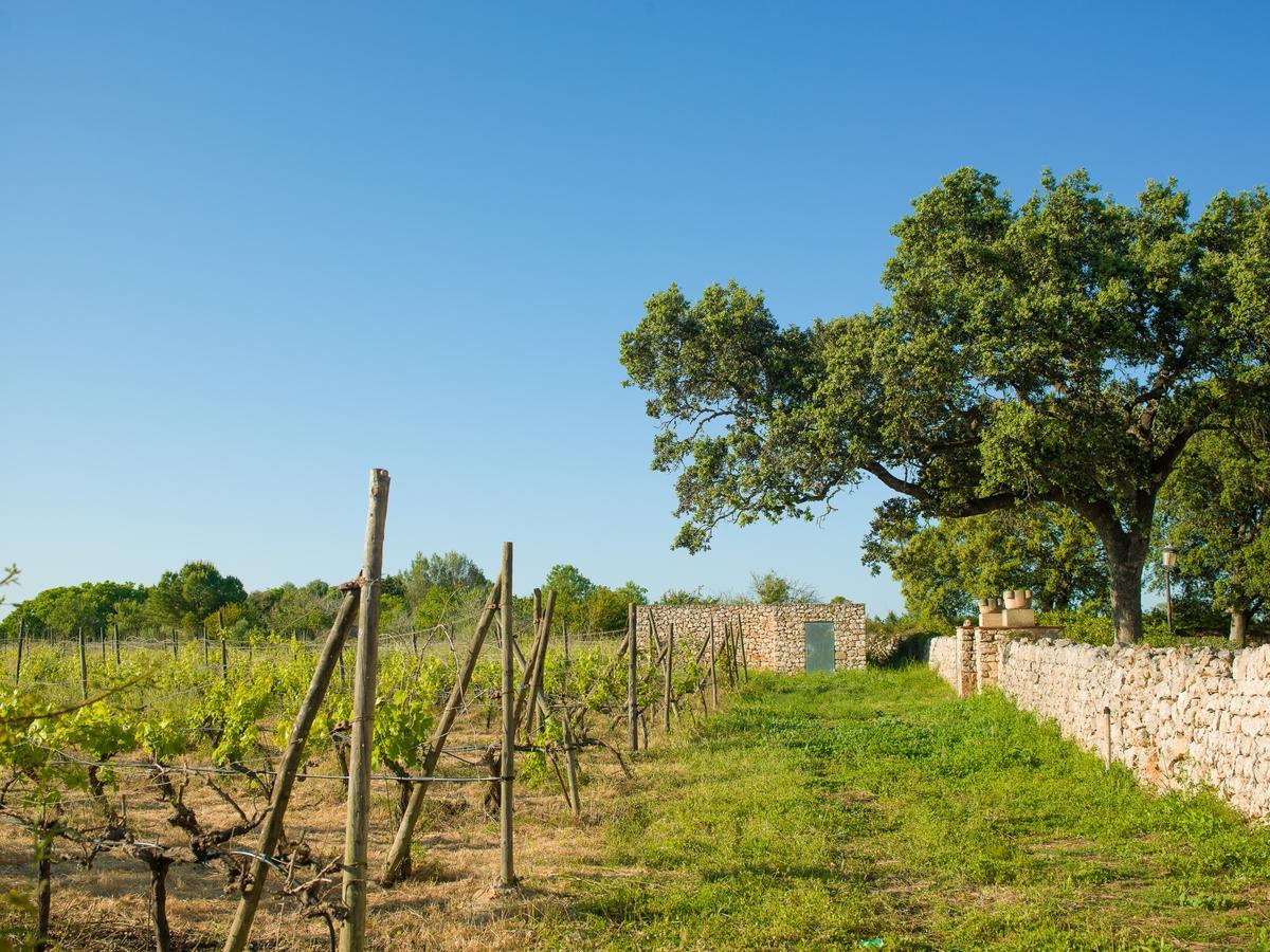 Sa Bassa Rotja Ecoturisme Guest House Porreres Bagian luar foto
